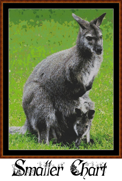Kangaroo  