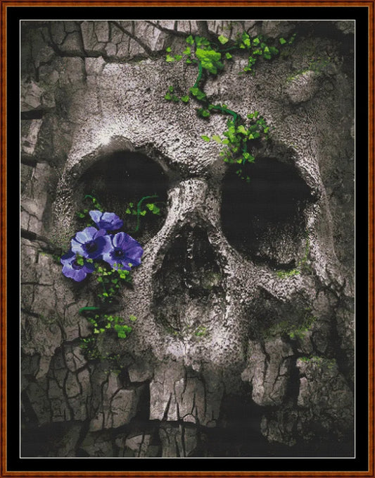 Skull Rock  