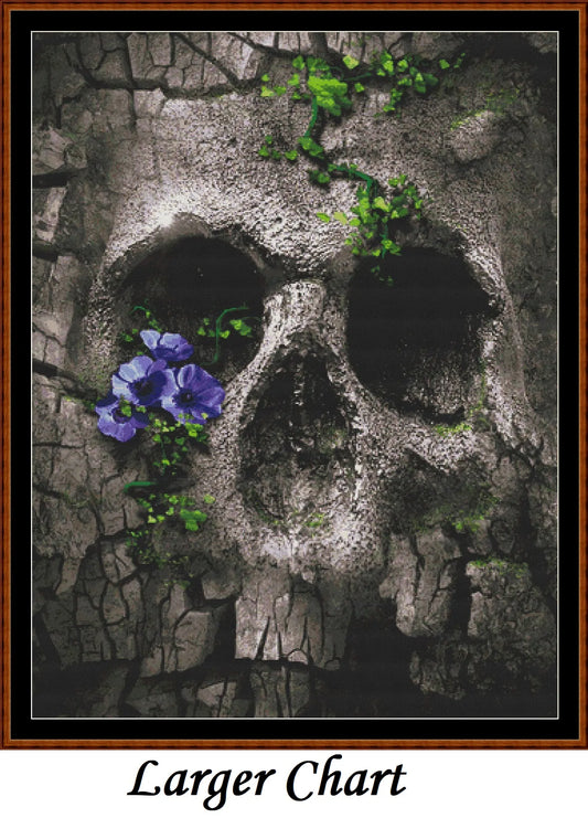 Skull Rock  