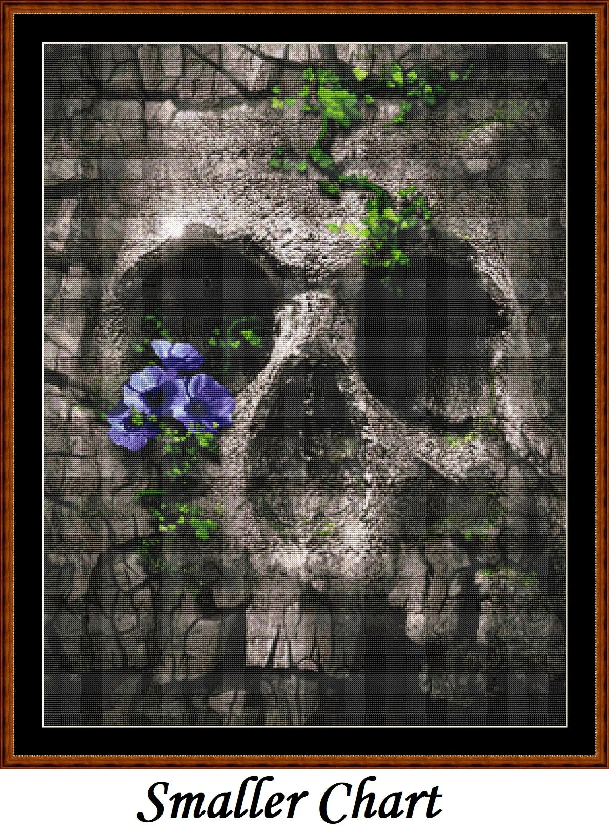 Skull Rock  