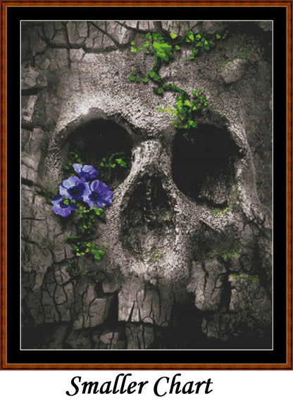Skull Rock  