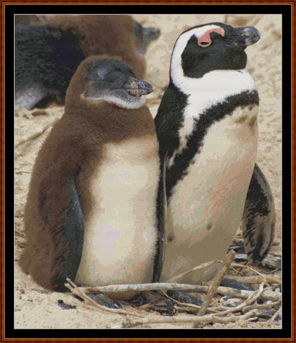 Penguins  
