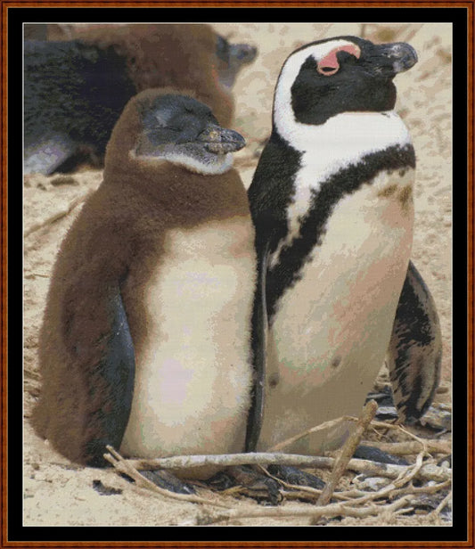 Penguins  
