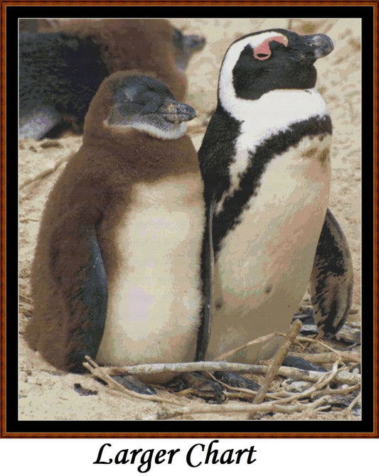 Penguins  