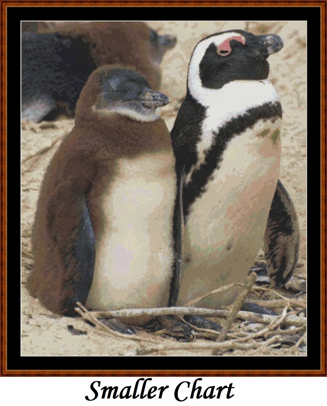 Penguins  