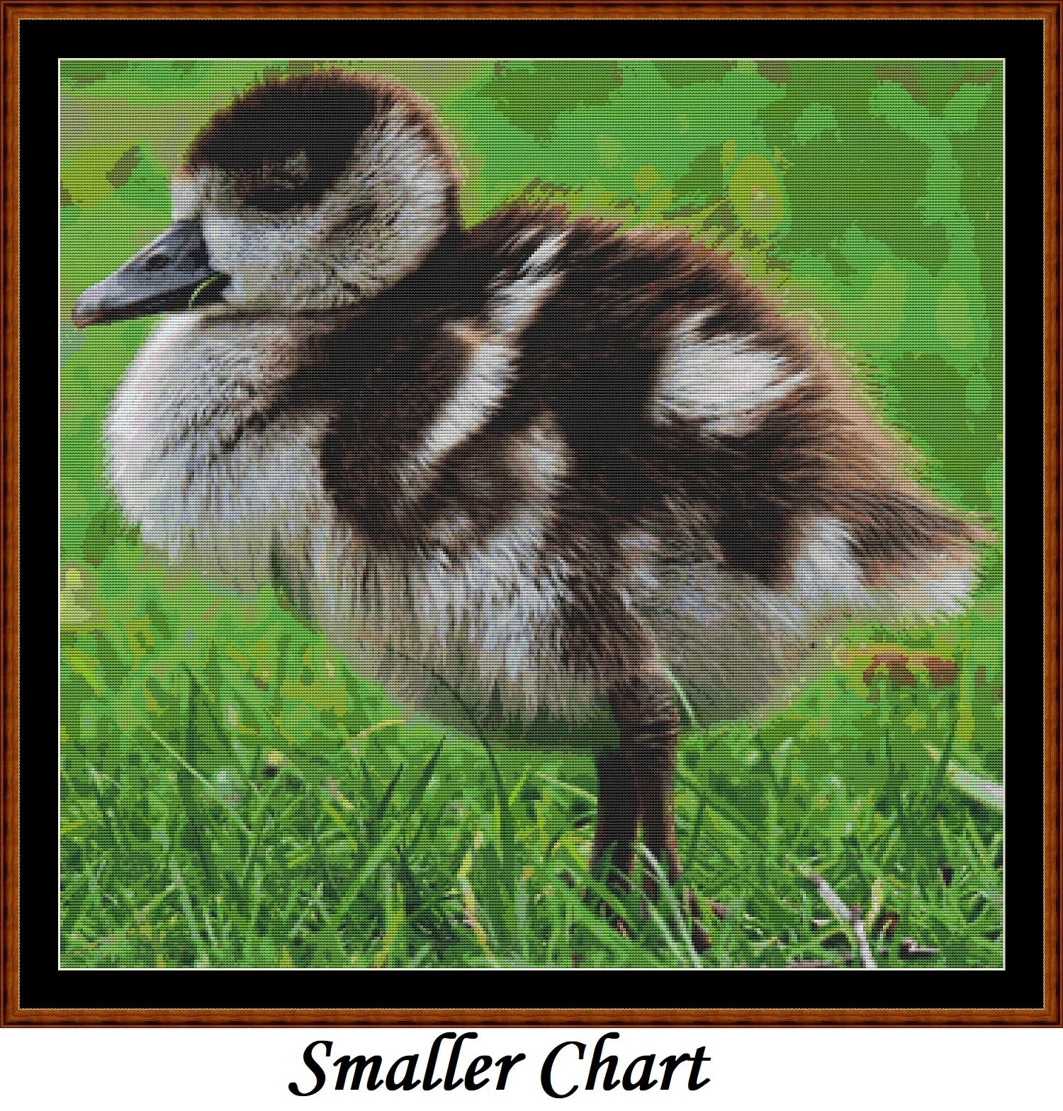Baby Birds - Nile Goose  