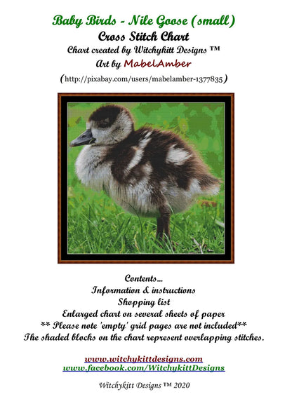 Baby Birds - Nile Goose  