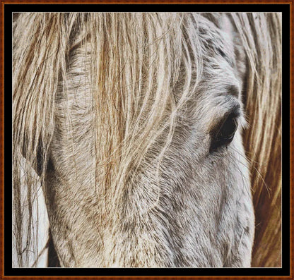 Horse Head  