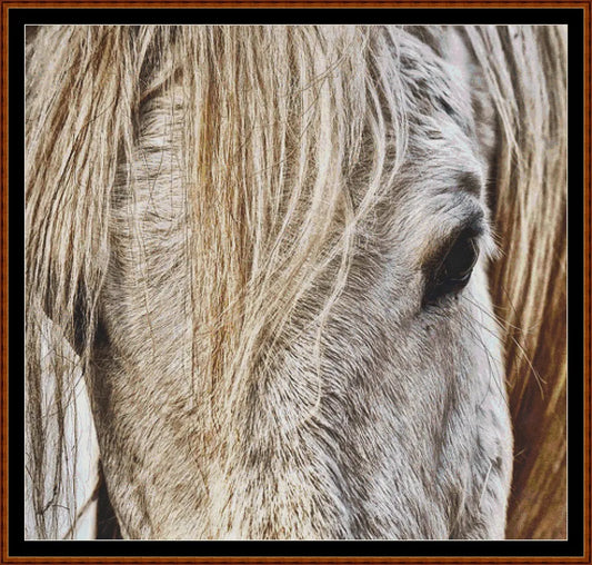 Horse Head  