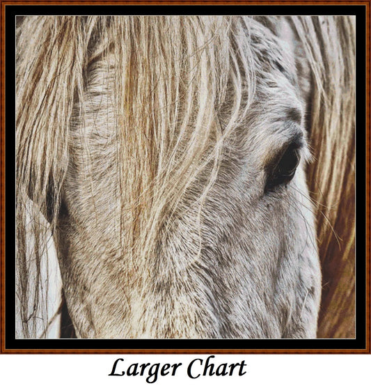 Horse Head  