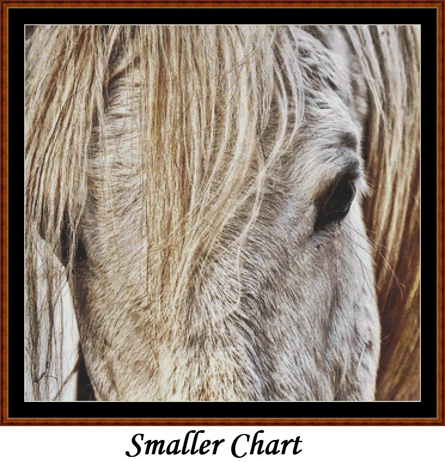 Horse Head  