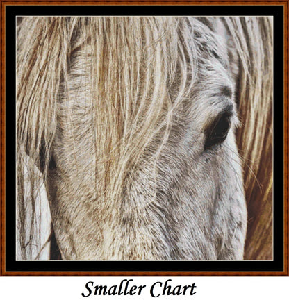 Horse Head  
