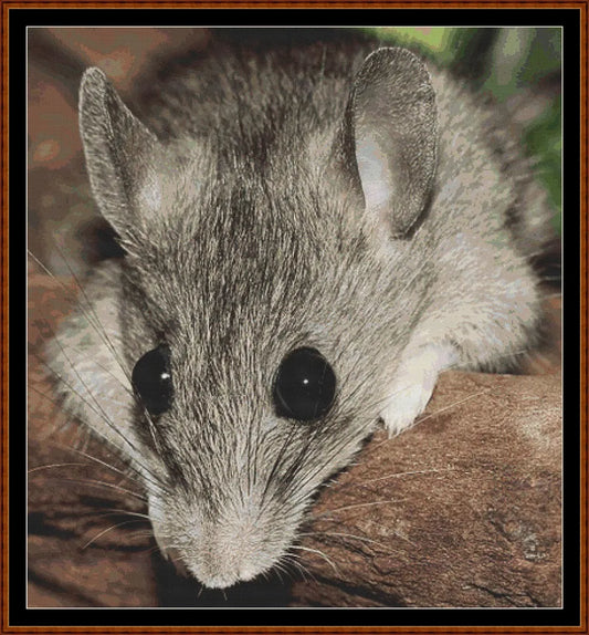 Big Eyes mouse patterns created from a photo by Silvia (sipa) under CC0 license
