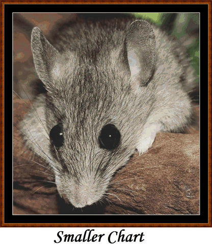 Big Eyes mouse patterns created from a photo by Silvia (sipa) under CC0 license