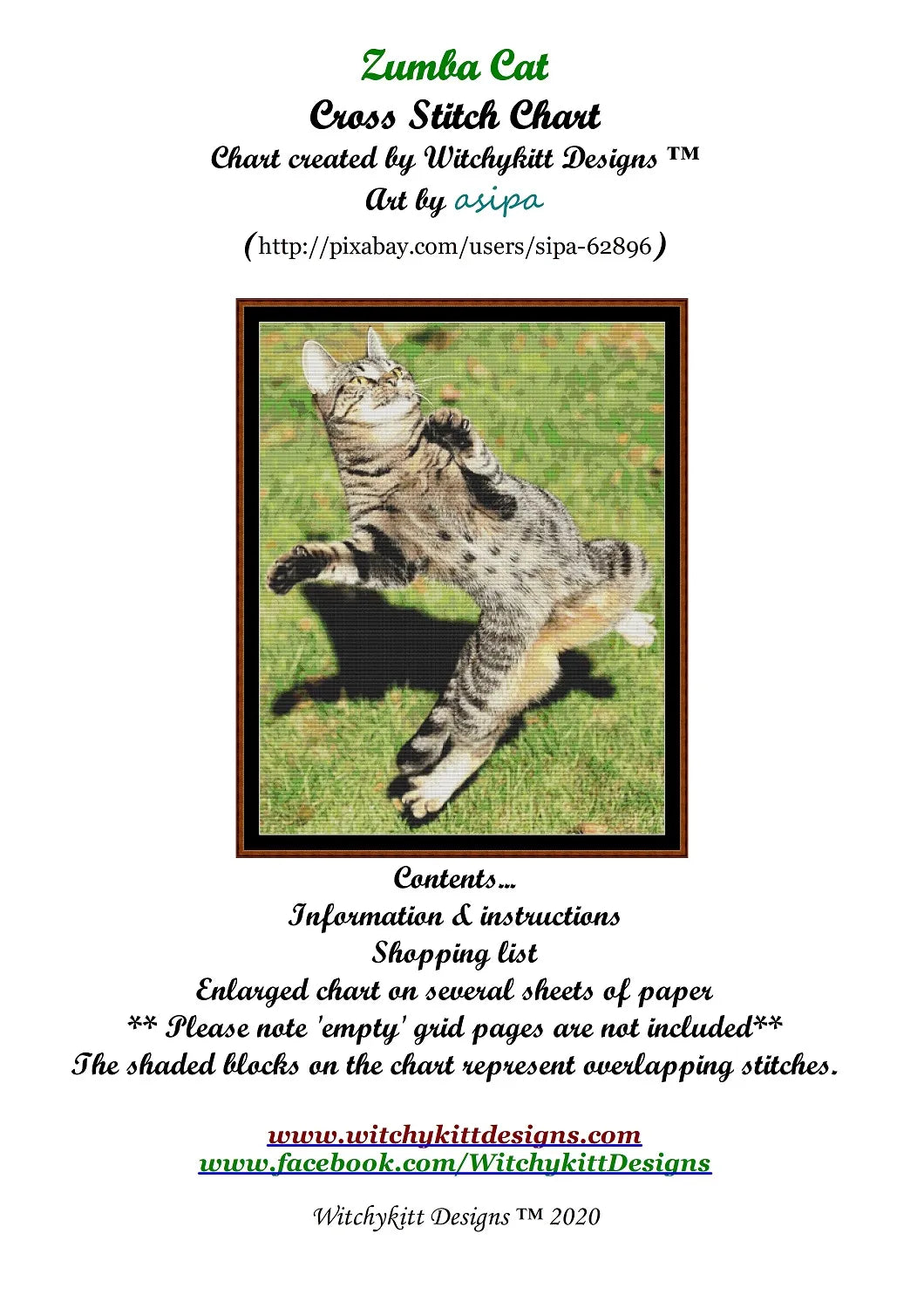 Zumba Cat  