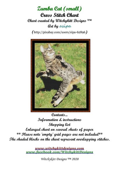 Zumba Cat  