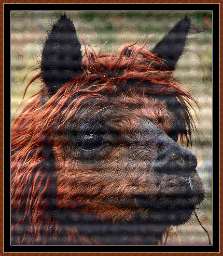 Alpaca  