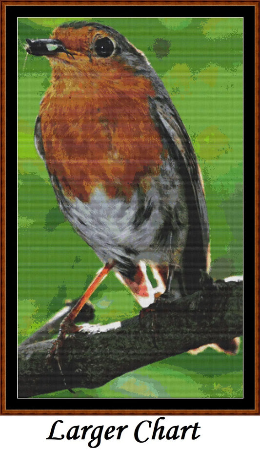 Garden Birds - Robin  