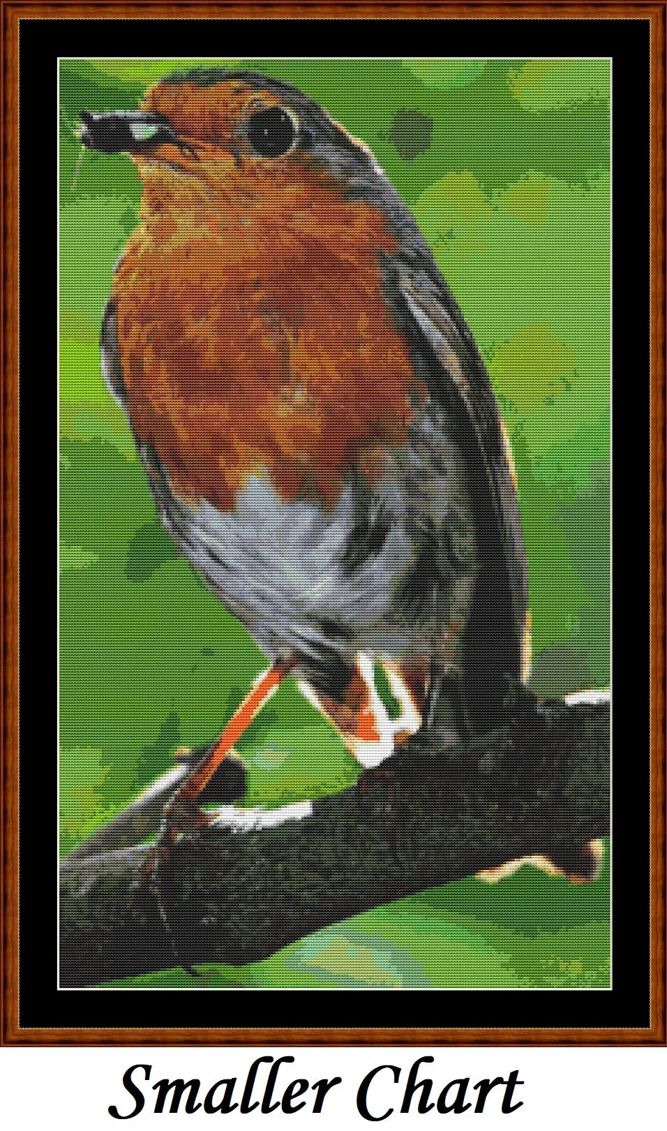 Garden Birds - Robin  