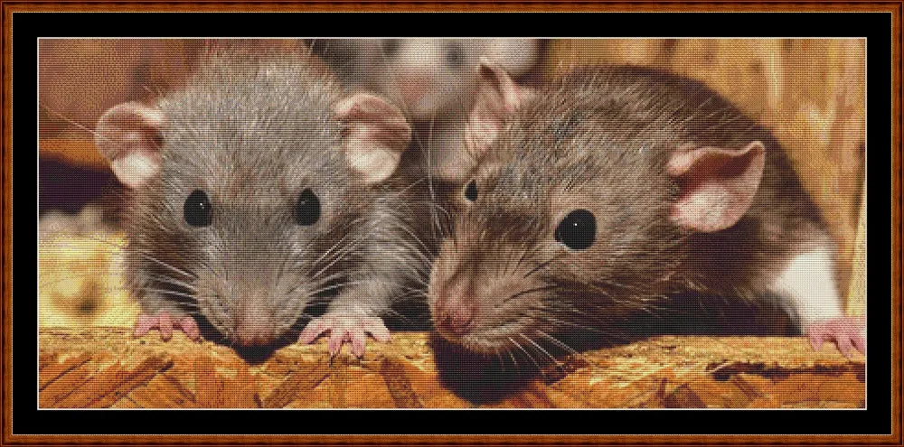 Mouse Chat  