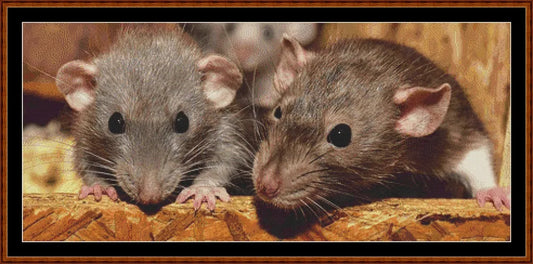 Mouse Chat  