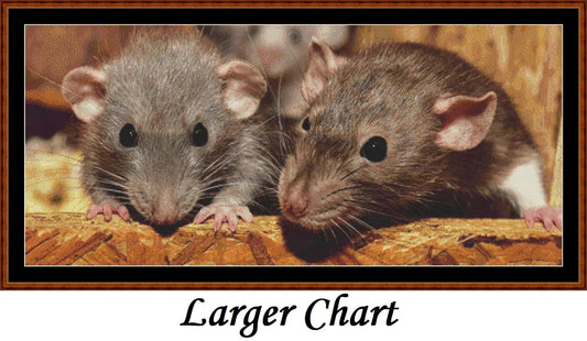 Mouse Chat  