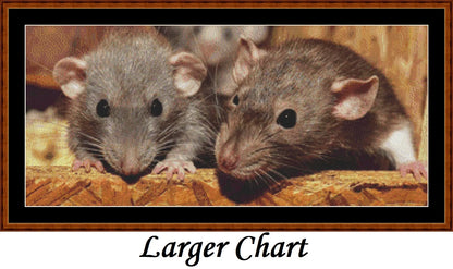 Mouse Chat  