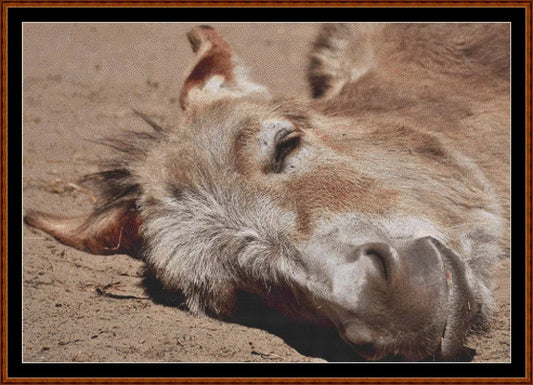 Sleepy Camel patterns created from a photo by Silvia under CC0 license