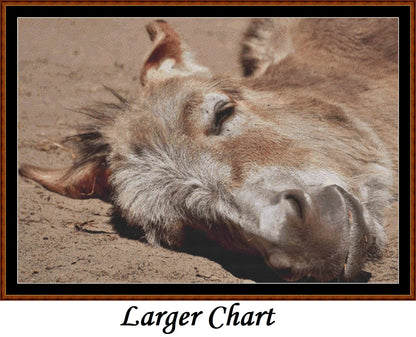 Sleepy Camel patterns created from a photo by Silvia under CC0 license
