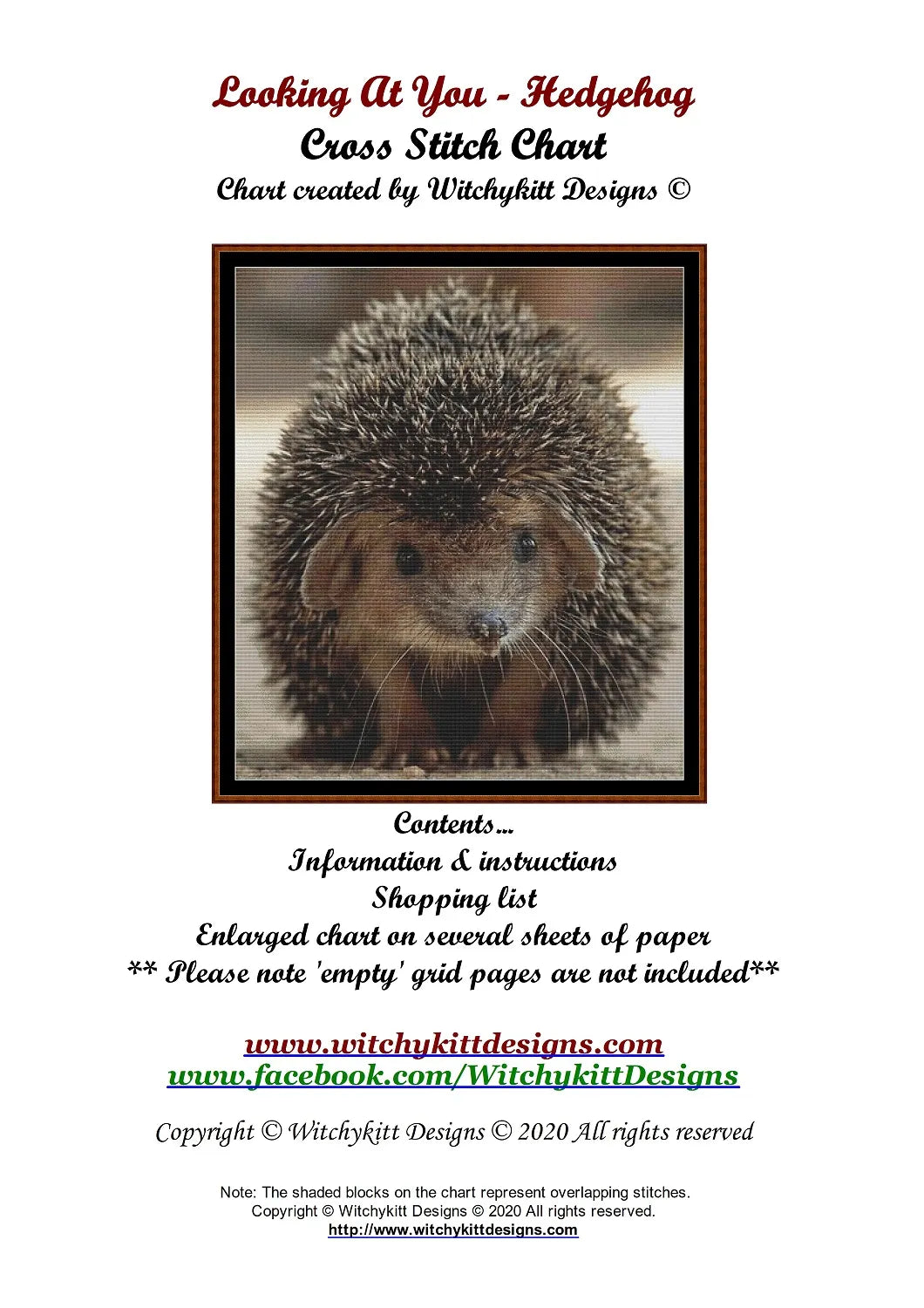Looking At You - Hedgehog  