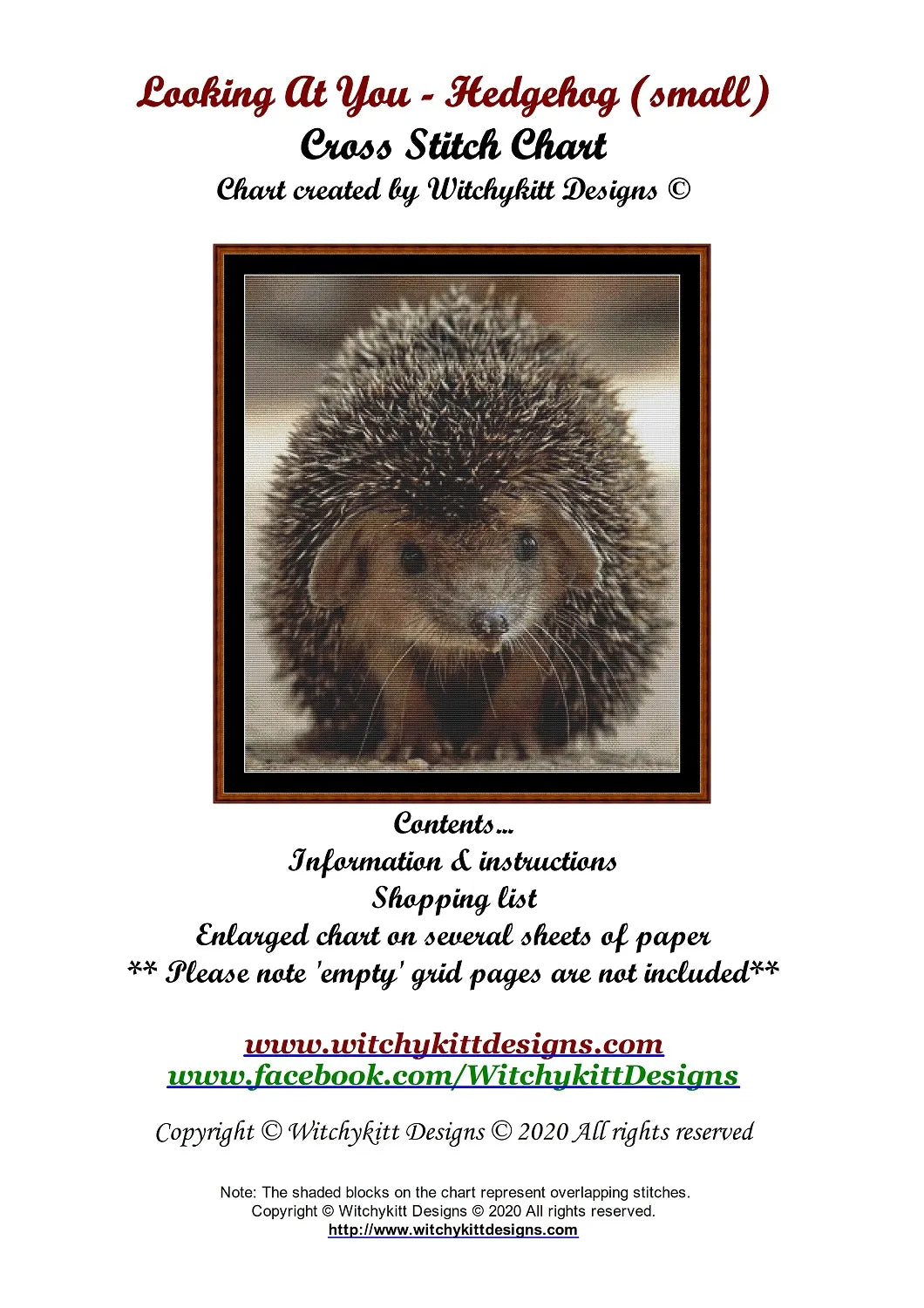 Looking At You - Hedgehog  