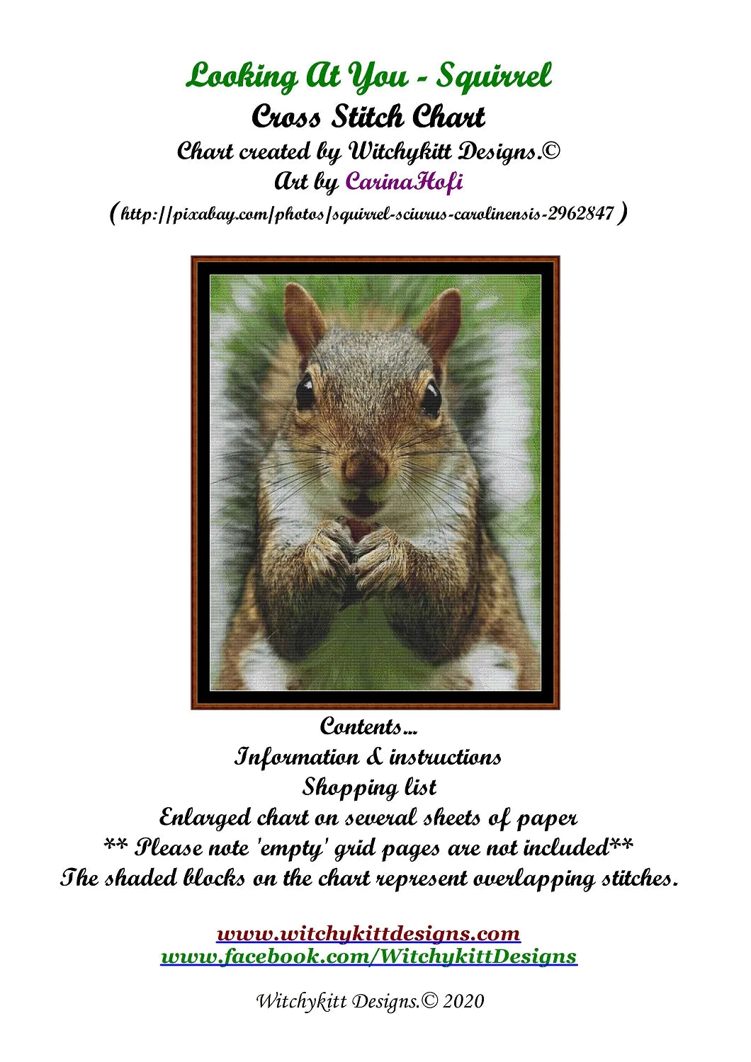 Looking At You - Squirrel  