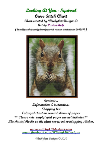 Looking At You - Squirrel  