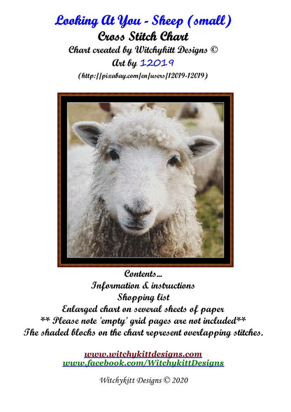 Looking At You - Sheep  