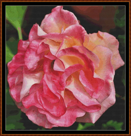 Flower Head - Pink Rose  