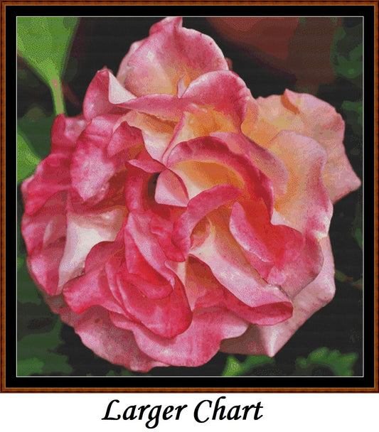 Flower Head - Pink Rose  