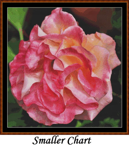 Flower Head - Pink Rose  