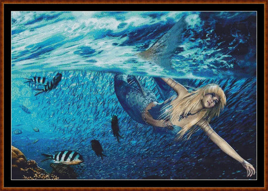 Mermaid Swim  