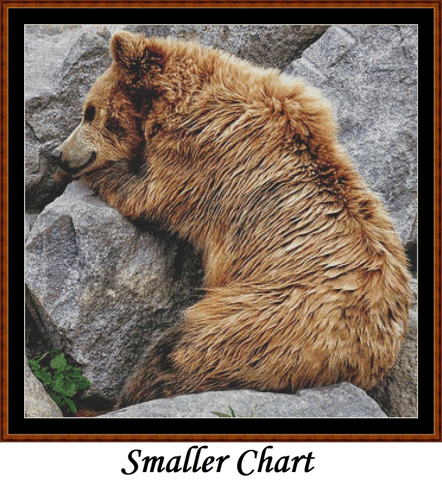 Bear Nap  