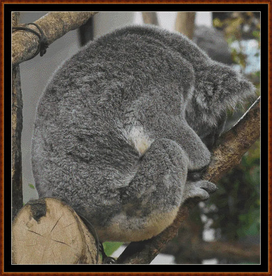 Nap Time