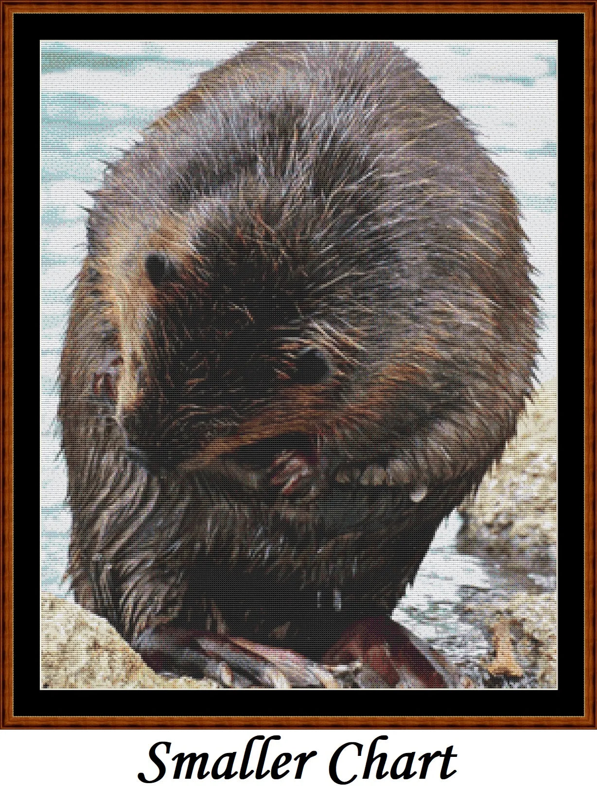 Beaver