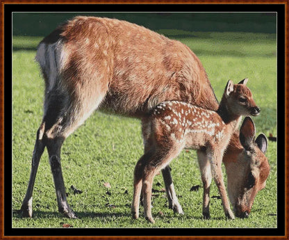 Deer Mum & Baby  