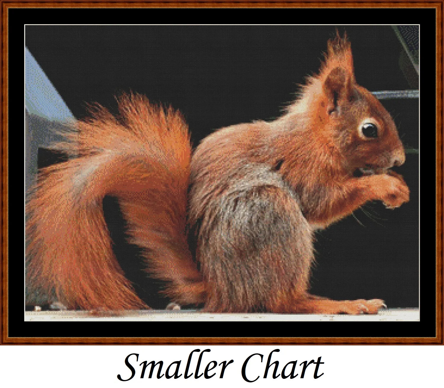 Red Squirrel