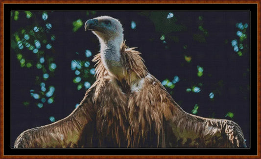 Vulture