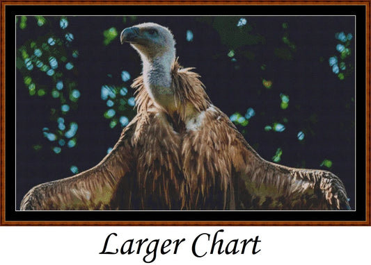 Vulture
