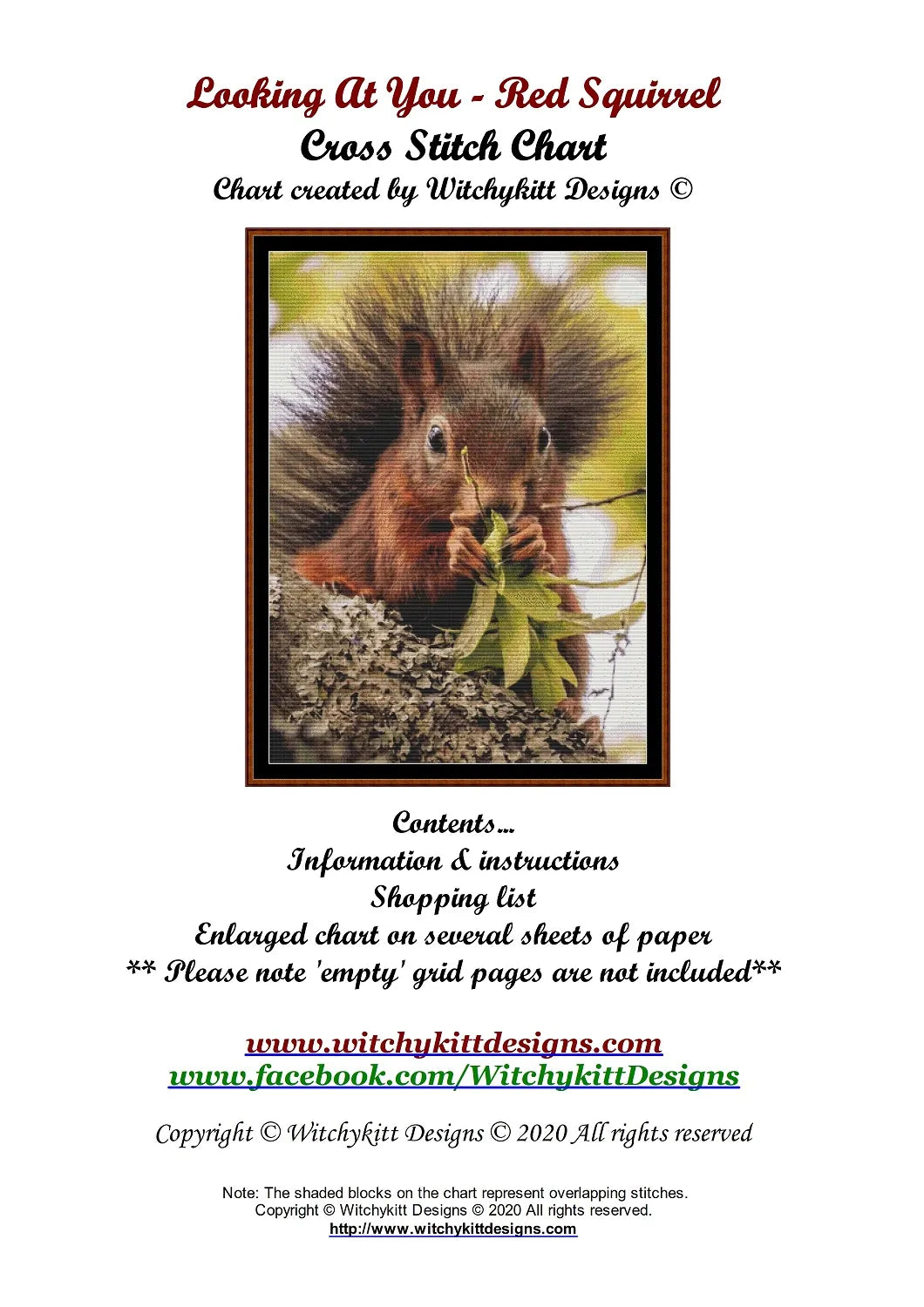 Looking At You - Red Squirrel