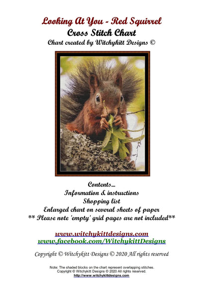 Looking At You - Red Squirrel