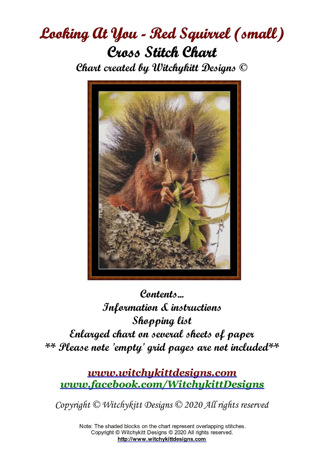 Looking At You - Red Squirrel