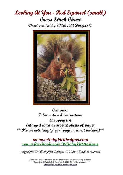 Looking At You - Red Squirrel