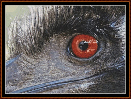 Emu View
